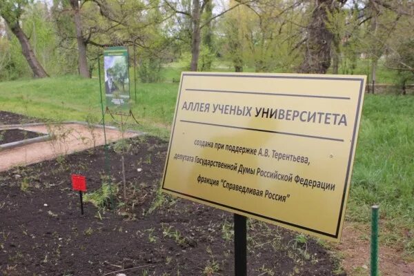 Аллея ученых перед мгу. Аллея ученых перед мгу. Аллея ученых. Памятник ломоносову бюст. Аллея ученых.