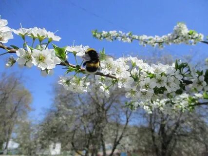 Апрель 05