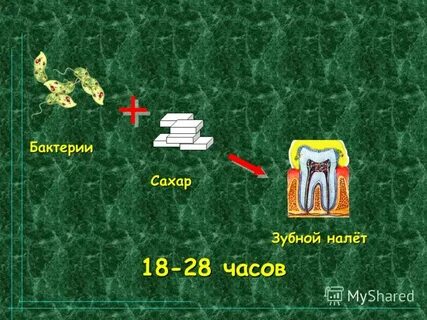 Сахар бактерий