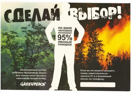Реклама леса