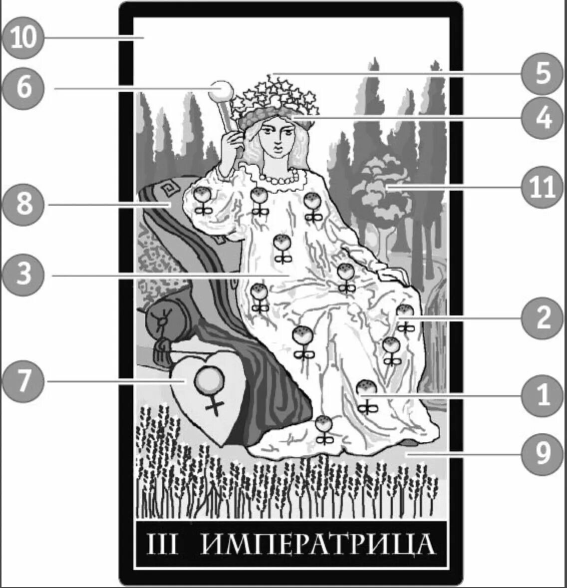 Таро Императрица символы. Карта императрица в таро значение