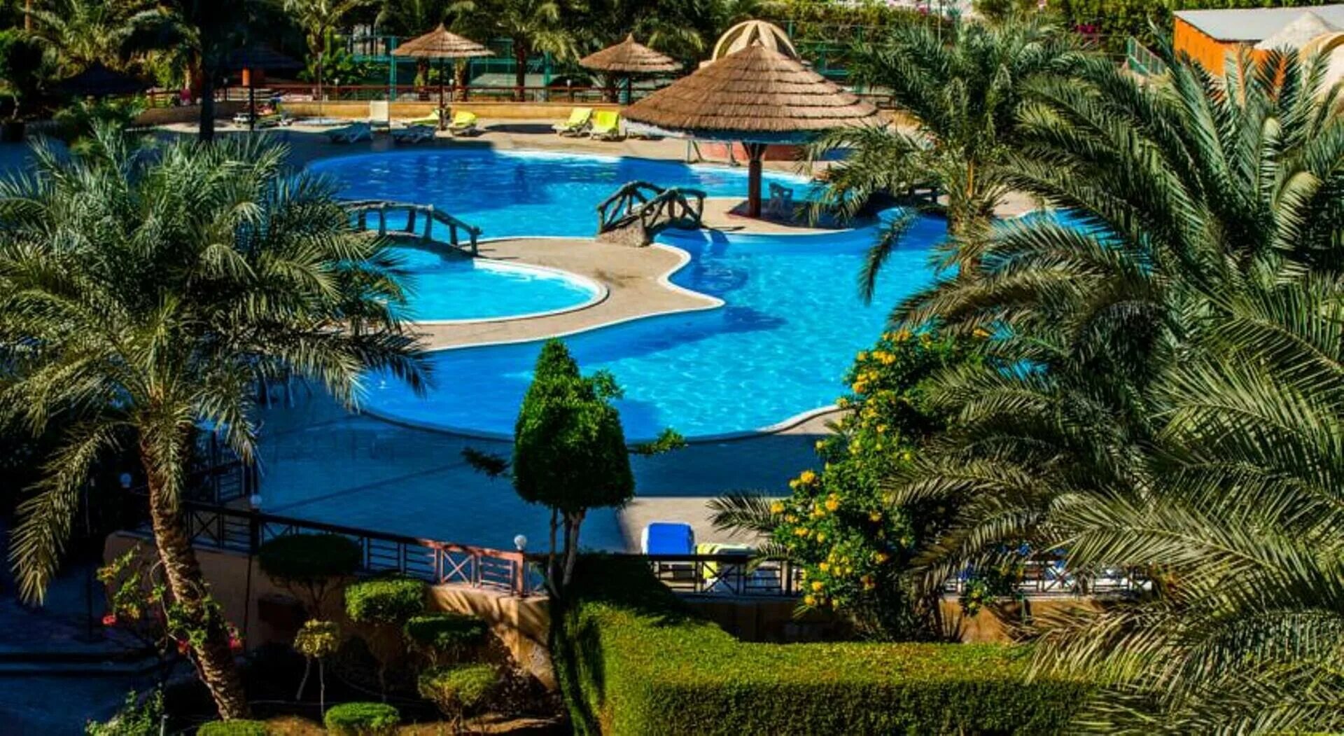 Hurghada seagull resort 4. Сигал Бич Резорт 4 Хургада. Отель Сигал Египет Хургада. Sea Gull Resort 4*. Seagull Beach Resort 4 Египет.