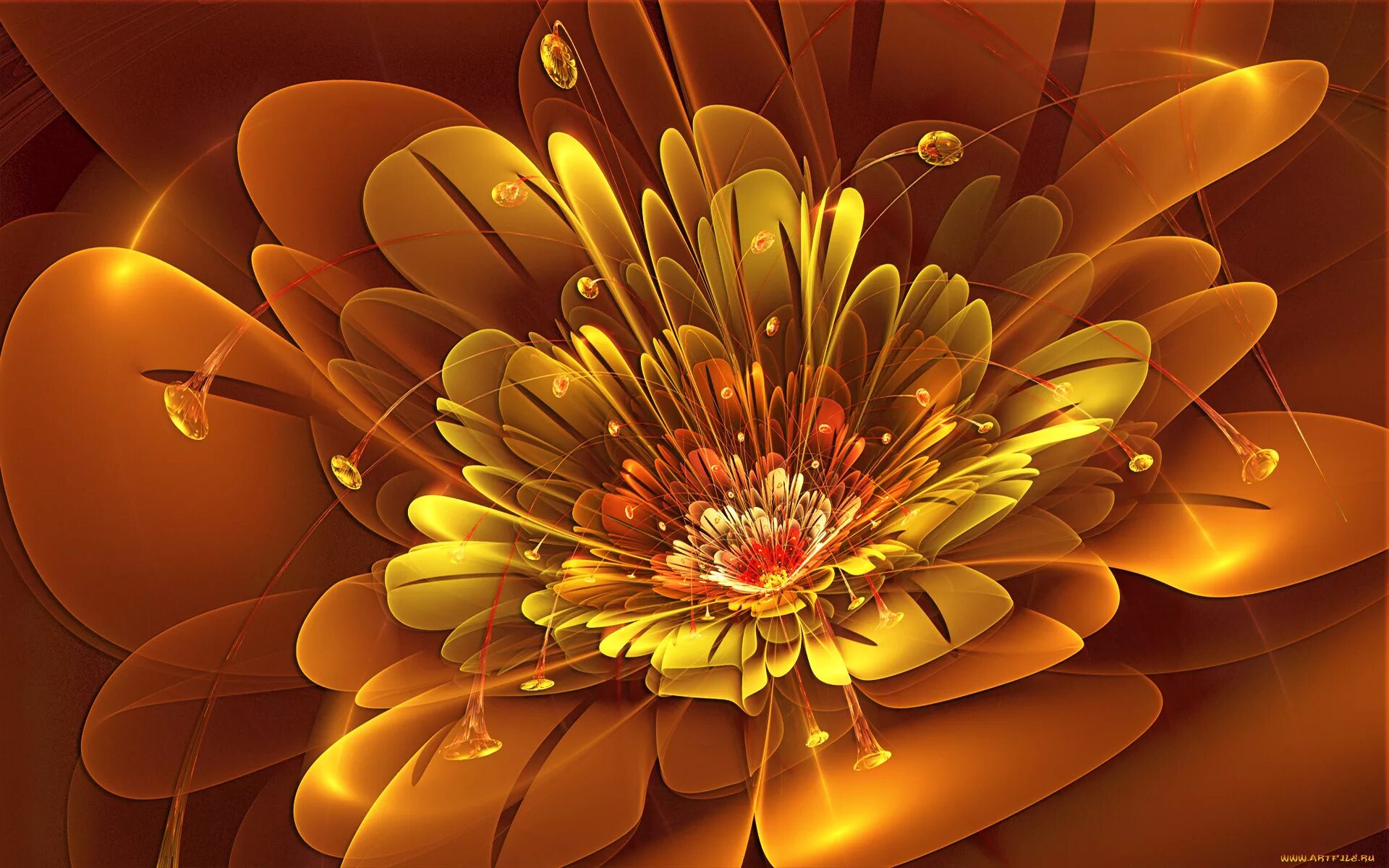 Красивая абстракция. Цветы абстракция. Золотые цветы. Красивые абстрактные цветы.