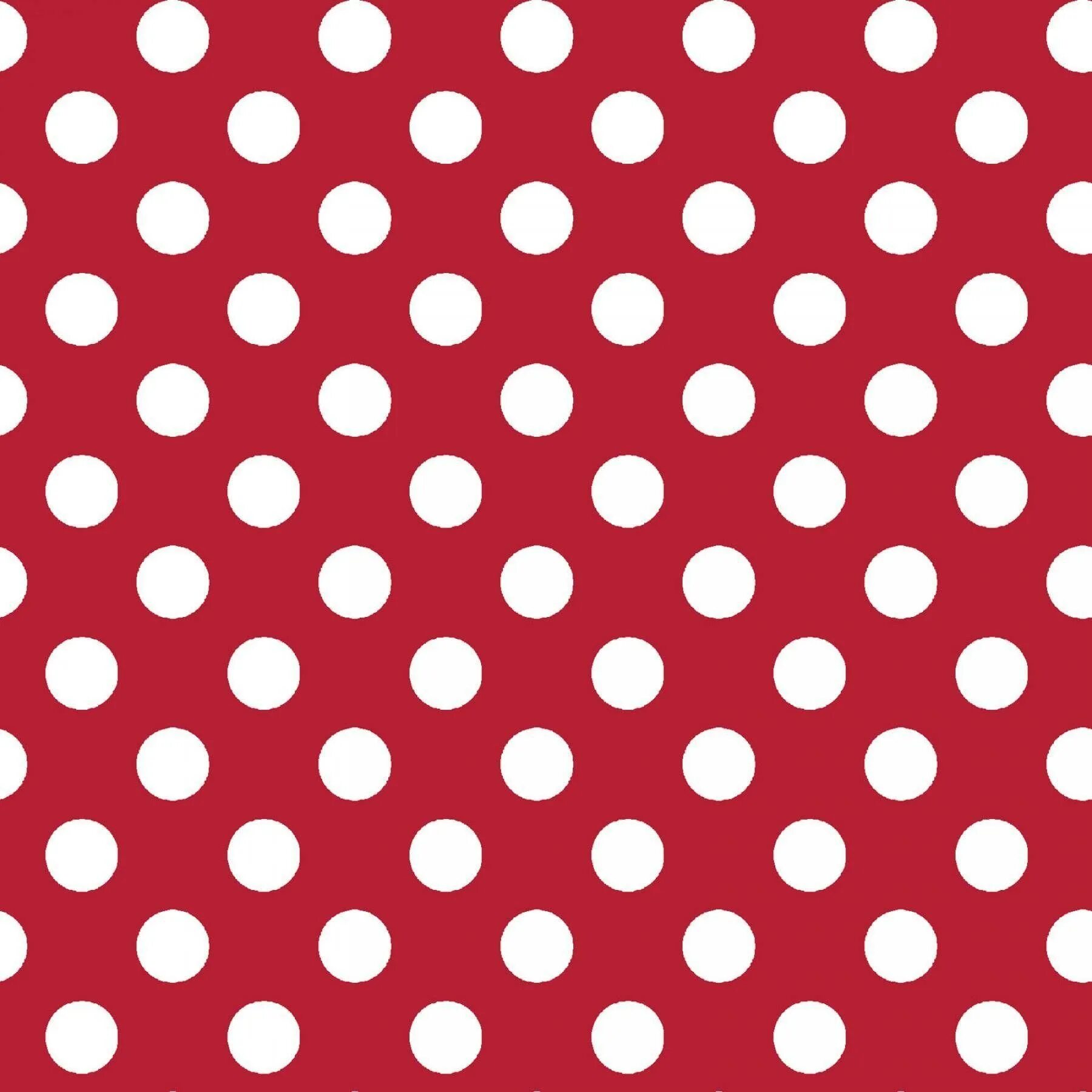 Polka dot перевод
