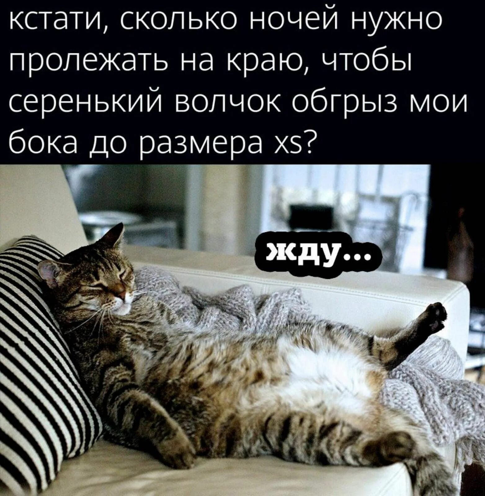 Ночи каковы
