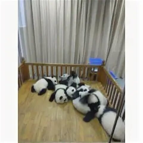 Батурина 10 панда