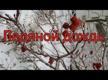 Ледяной дождь слова