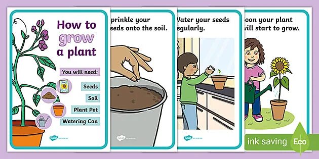 How plant. How to plant seeds for kids. all about plants ответы. how to grow a plant make a hole. what do you need to plant a seed.