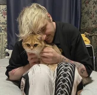 Котенок ра