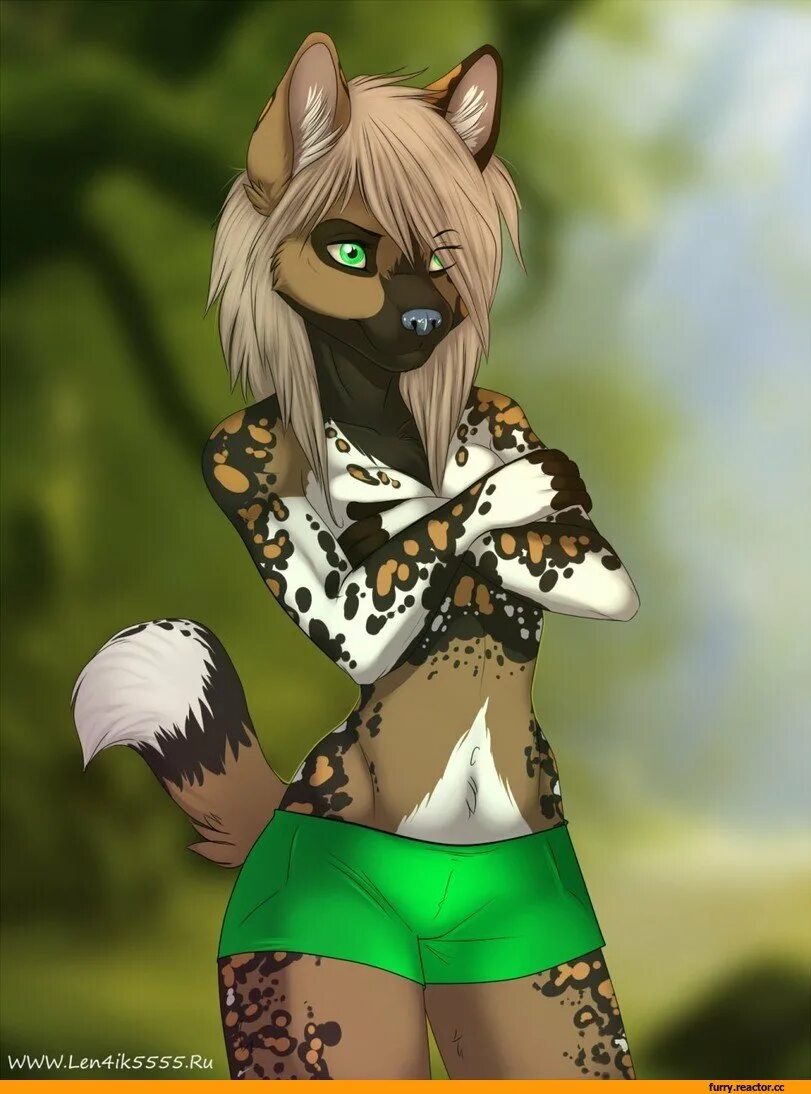 Картинки фурри. Фурри len4ik_555. Furry len4ik555. Len4ik 555. Len4ik 555 Art.