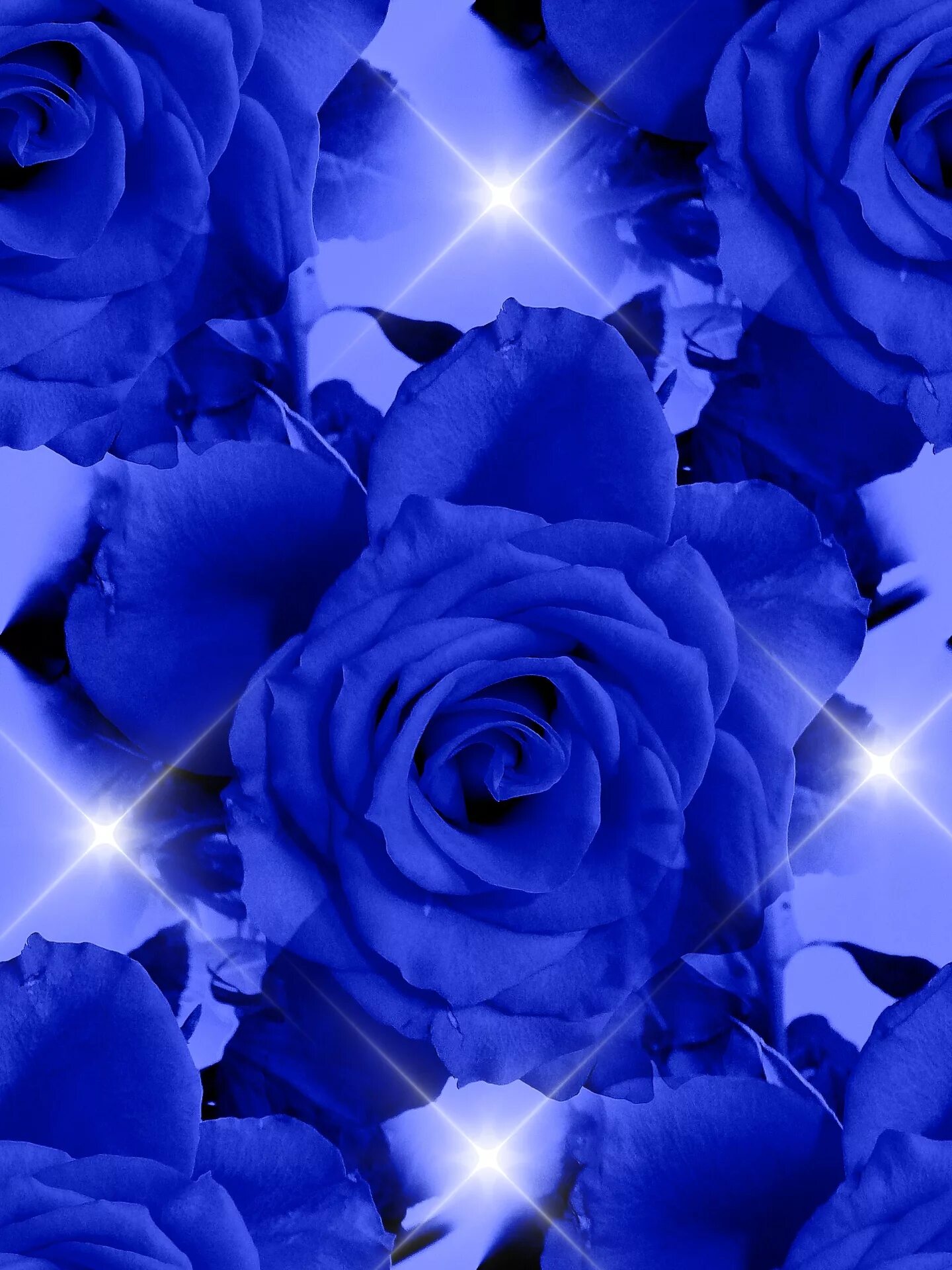 Красивые синие цветы.
