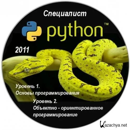 Удав язык. Питон программирование. Питон основы программирования. Язы кпоограммирования питон. Основы программирования на Python.
