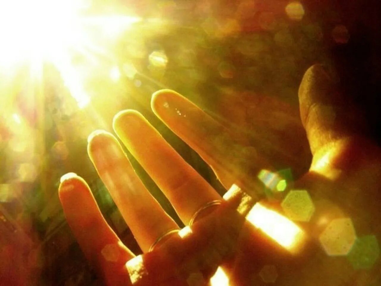 Ты и есть луч света. Солнце на ладони. Солнце в руках. Тепло человеческой души. Солнечный Луч на ладони.