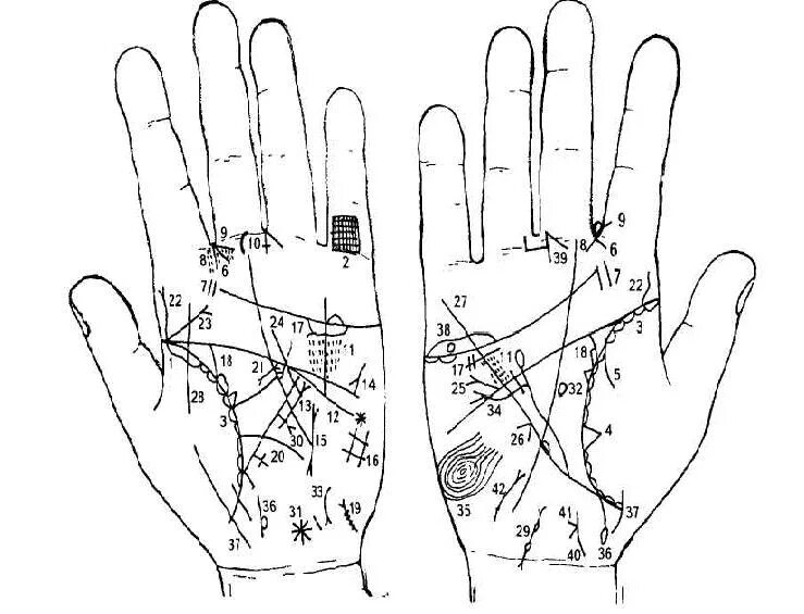 По рукам 10 букв. Нади Грандха хиромантия линия сердца. Нади Грандха хиромантия. Линии ведьмы на ладони хиромантия. Ведическая хиромантия Нади грантха.