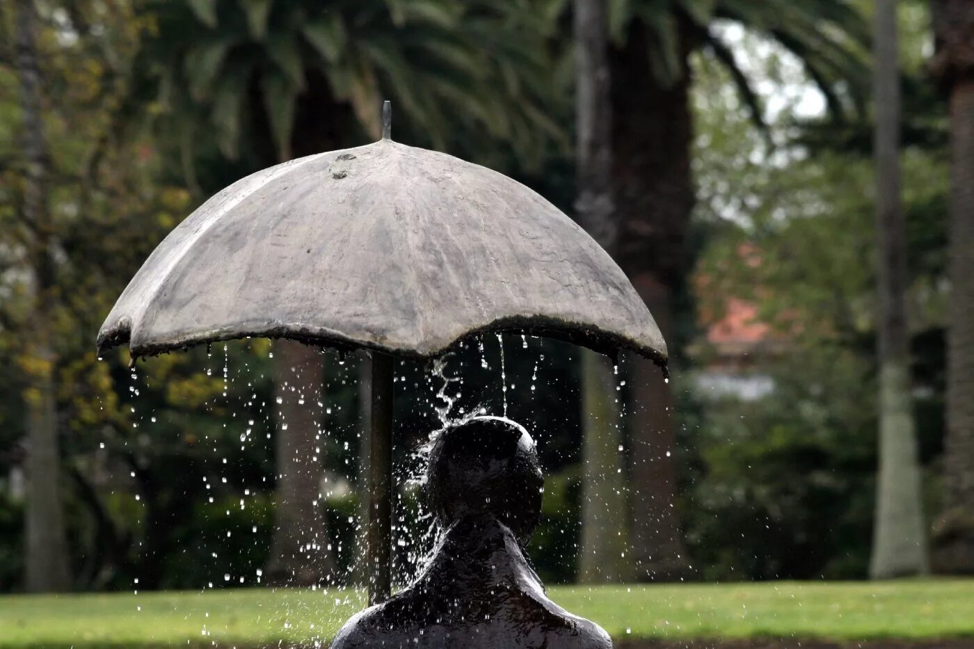 Под дожем. Танцы под дождем. Под дожем. Танцующая под дождем. Зонт под дождем.