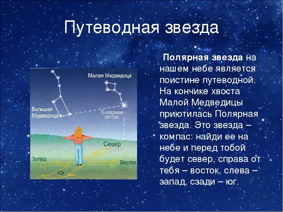 Читать звезда краткое. Проект Полярная звезда. Полярная звезда доклад. Информация о полярной звезде. Полярная звезда презентация.