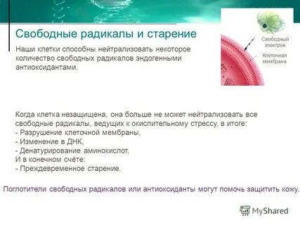 Нейтрализовать свободные радикалы