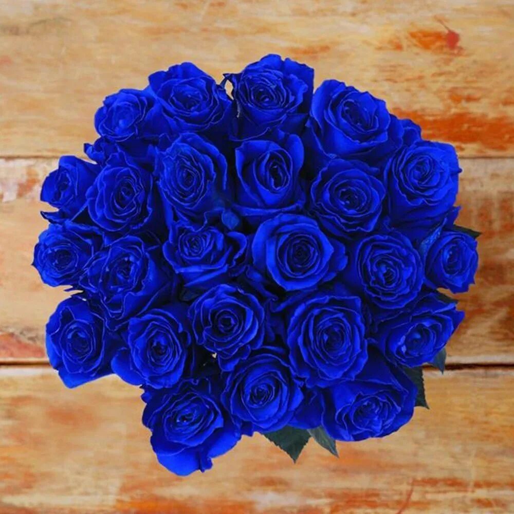 Красивые цвет из синих цветов. Голубые розы Сантори. Эквадорские синие розы.