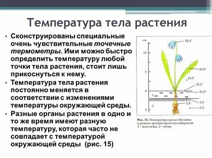 Трава понижает температуру