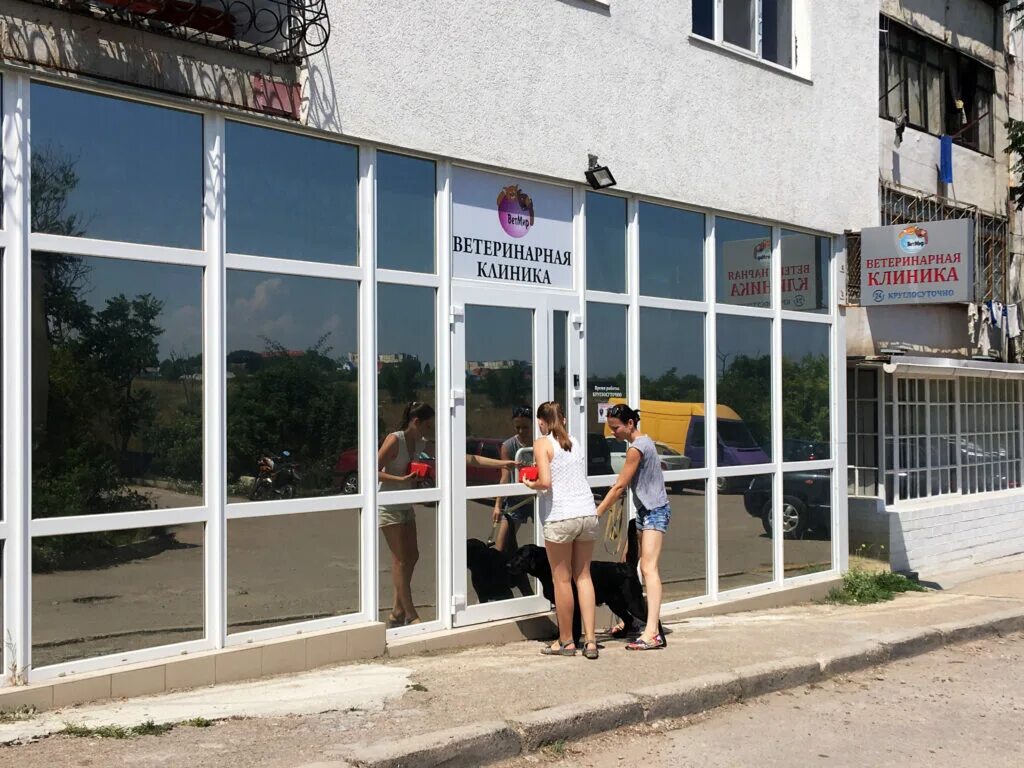 Античный 18 ветклиника севастополь. , 18. Интерьер ветклиники волгограда. Ветклиника севастополь на античном. Ветклиника севастополь гагаринский район.