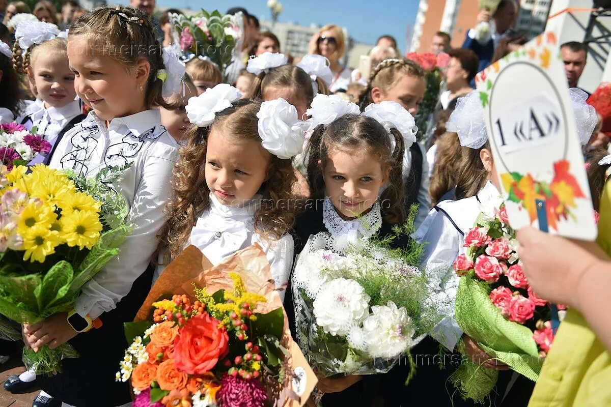 Земская гимназия Балашиха. Земская гимназия Балашиха Солнечная. Земская гимназия план школы. Школьный портал земская