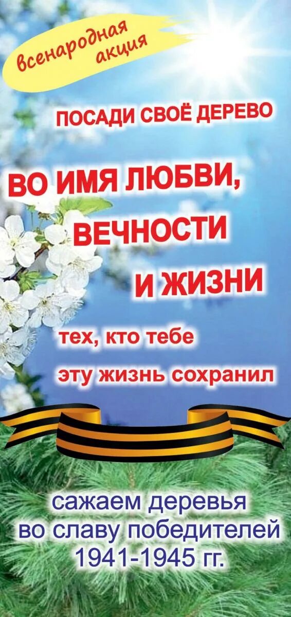 Акция память победы. Акция во имя любви вечности и жизни. Посади дерево акция к Дню Победы. Акции ко Дню Победы. Акция ко Дню 9 мая дерево Победы.