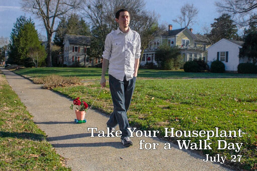 For 3 days we walked. Take your houseplants for a walk day. for a walk.