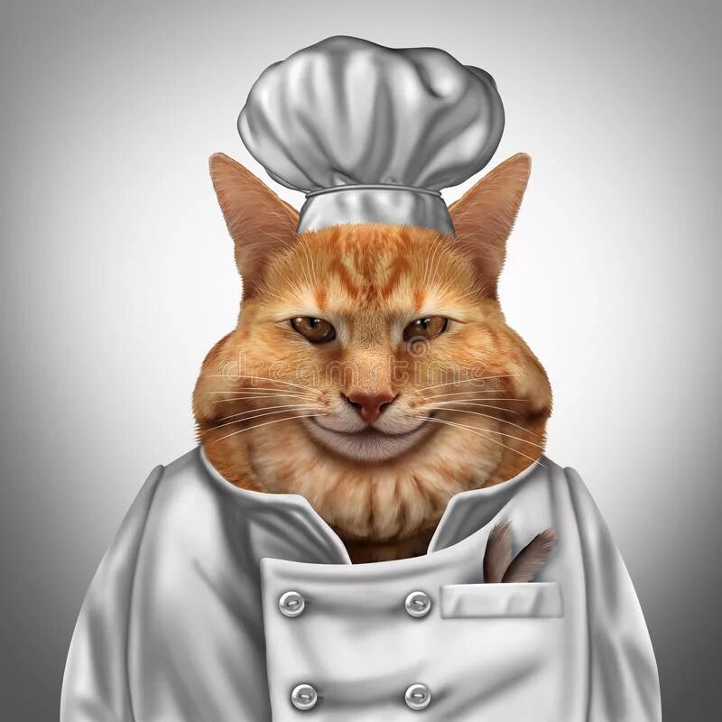 3 кота повар. Рыжий кот в поварском колпаке. Кот повар. Кошка шеф повар. Кот в костюме шеф повара.