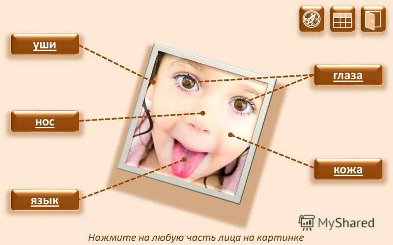 гимнастика для глаз для улучшения зрения при близорукости для детей. массаж век. массаж для расслабления мышц глаз. нажми глаза. гимнастика для глаз массаж.