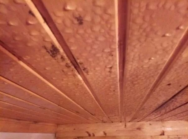 Пароизоляция потолка парилки. Вентиляция в парилке в потолок. Потеет предбанник. Потолок в предбаннике. Вентиляция в предбаннике на потолке.