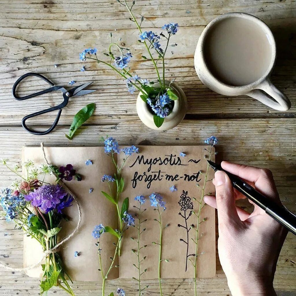 Необычные пожелания с добрым утром. Стильные открытки с добрым утром. Необычные пожелания с добрым утром. Стильные пожелания с добрым утром. Оригинальное доброе утро пожелание необычное.