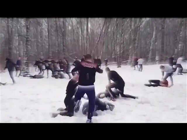 Забиты 5