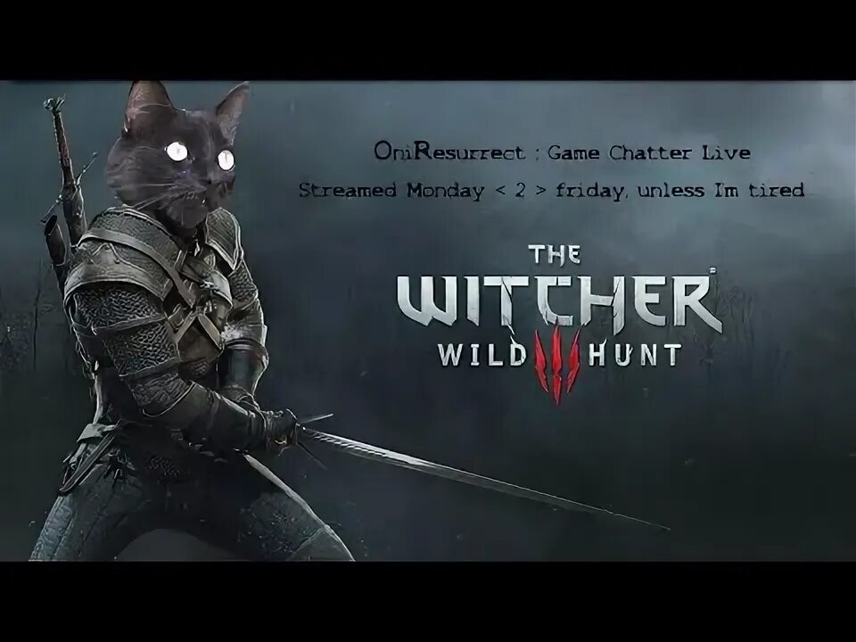 Кот ведьмак. Кошки из ведьмака. Кошка и пес ведьмак 3 каменное сердце. Ведьмак 3 кошка. Ведьмак кошка.