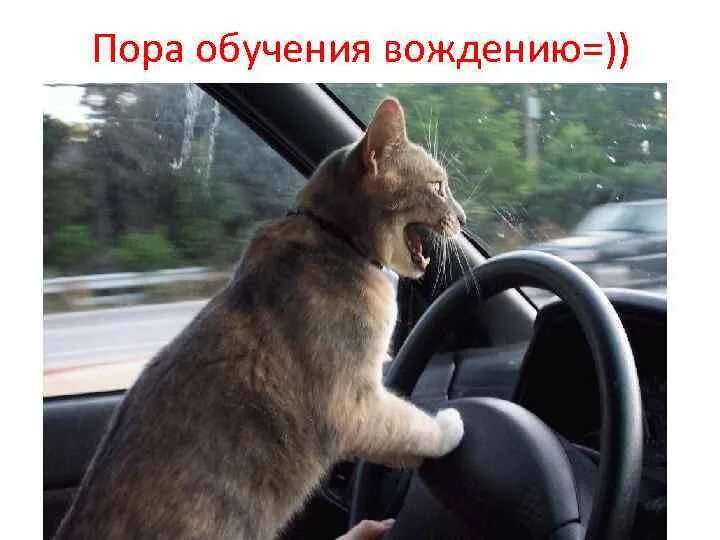 Пора научиться. Пора научиться