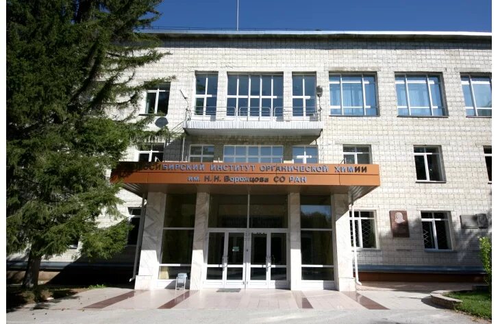 Н. Новосибирский институт со ран. Н. Институт органической химии новосибирск. Институт органической химии новосибирск.