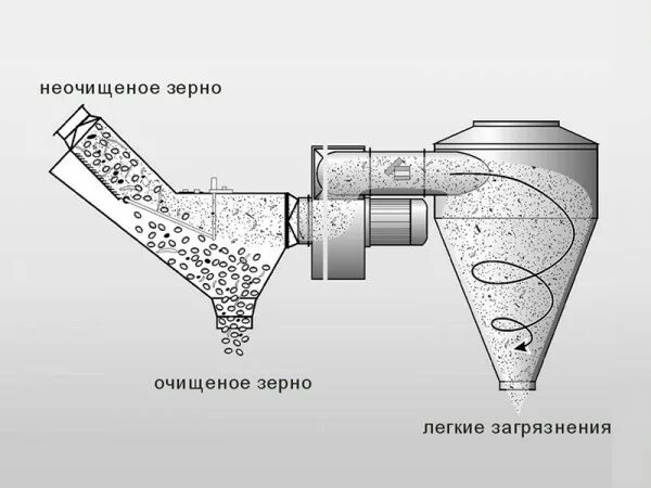 Очистка зерна на ветру. Сепаратор зерна гравитационный СЗГ-25. Циклон для аспирации зерна. Циклон для дробилки зерна своими руками. Циклон для сепаратора типа nr304 очистка зерна.