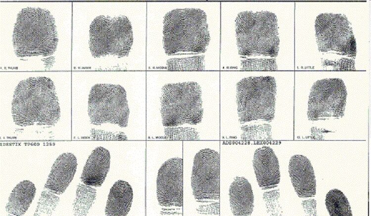 Дактилоскопирование живых лиц. Дактокарта с отпечатками. Дактилоскопическая карта. Отпечаток пальца шимпанзе. Дактилоскопическая карта для детей.