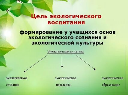 Природоохранная деятельность экология