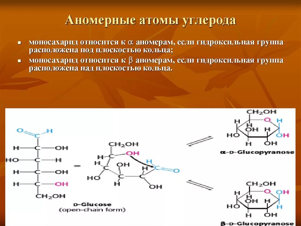 Наиболее распространенный моносахарид. Аномеры рибозы. Аномеры мальтозы. Аномеры моносахаридов. Бета аномеры.