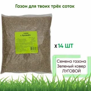 Сколько газона на сотку