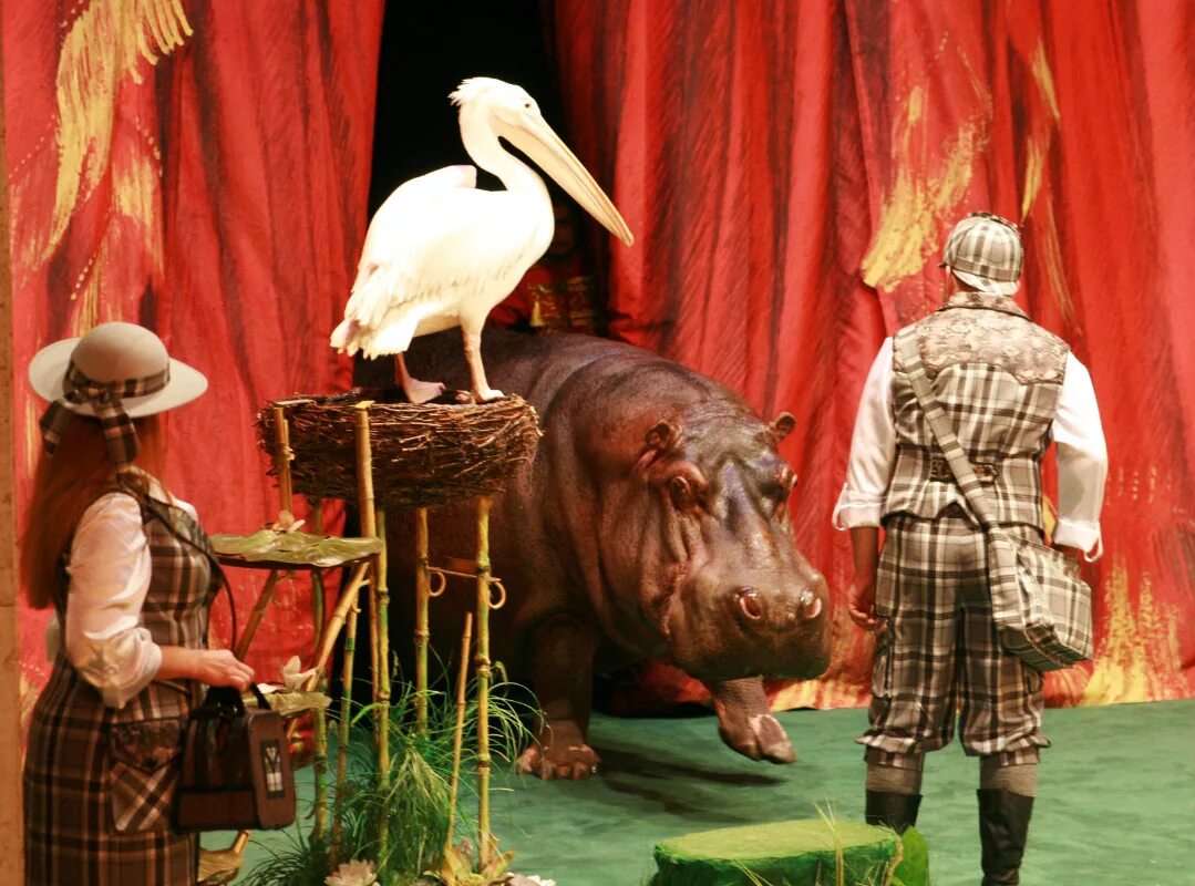 Animals theatre. Театр зверей имени Дурова. Театр зверей дедушки Дурова. Театр Дурова в Москве. Театр зверей «уголок дедушки Дурова».