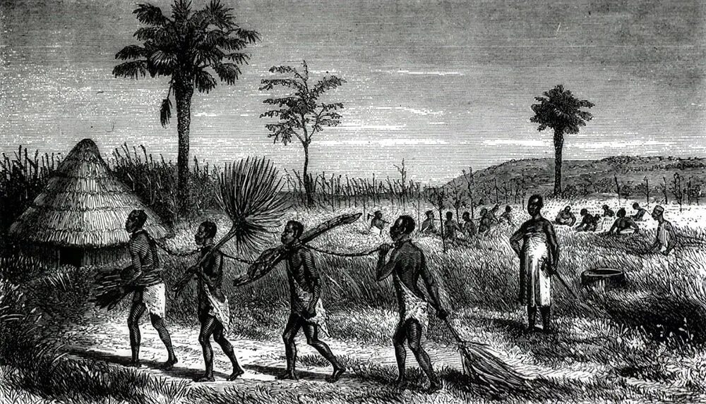 Плантации рабыни. Колонизация Африки 17 век. Африка 19 века колонизаторы. Работорговля в Африке 18 век. Работорговля в Африке 19 век.
