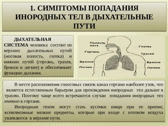 Симптомы аопадания инородного ТЕЛАВ дыхательные пути. Инородное тело в дыхательных путях симптомы. Верхняя дыхательная система человека. Признаки инородного тела в дыхательных путях.