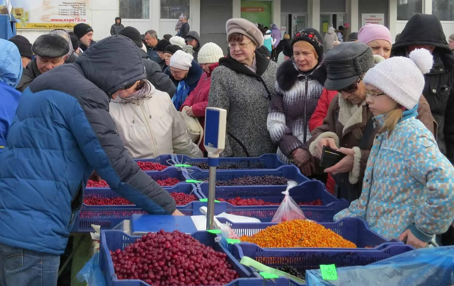 Продовольственная ярмарка пройдет. Продовольственная ярмарка в тюмени 2025. ярмарка тюмень. продовольственная ярмарка в тюмени 2025. ярмарка на севастопольской в тюмени.