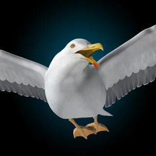 Flying 3d