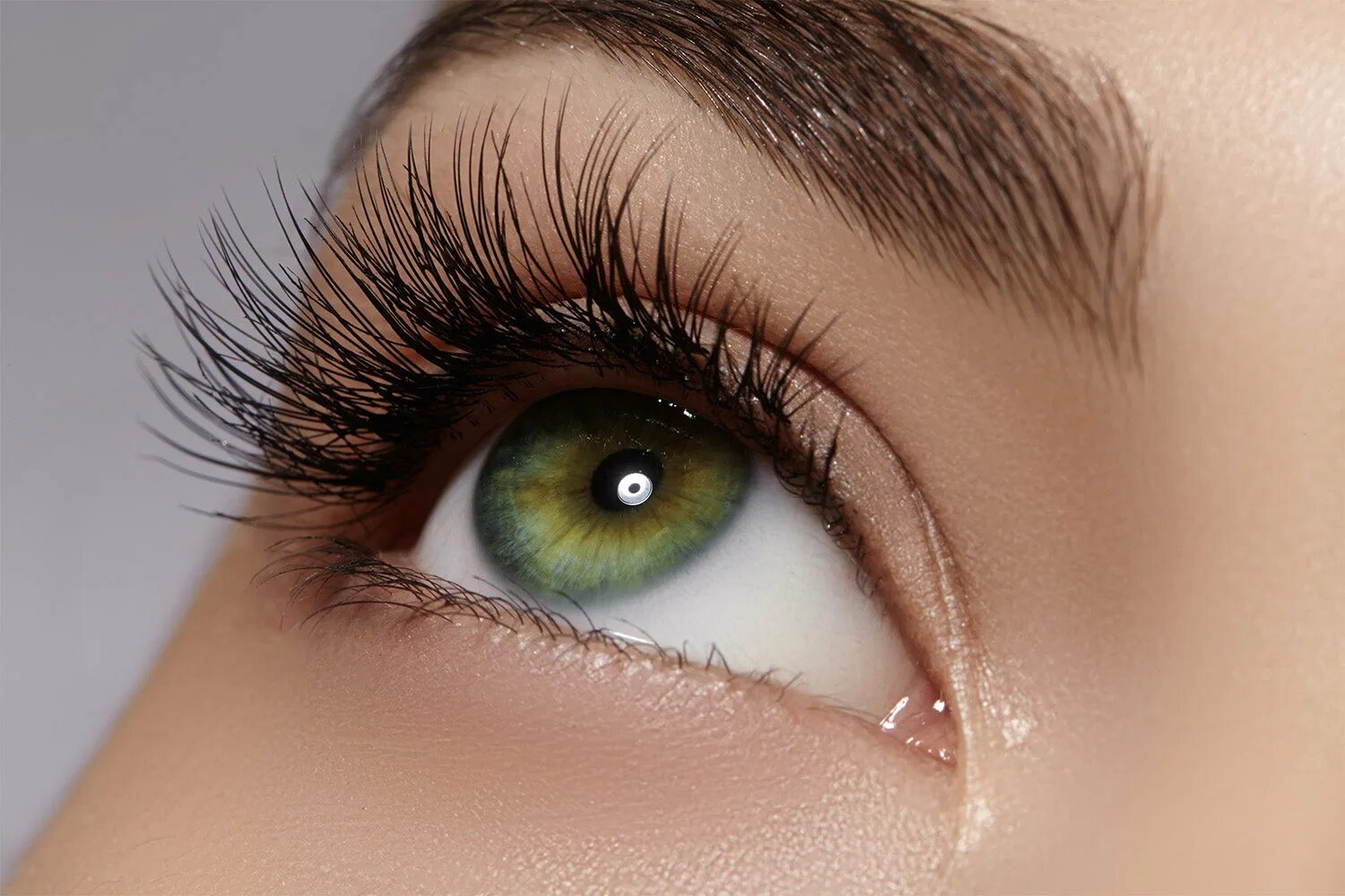 I lash