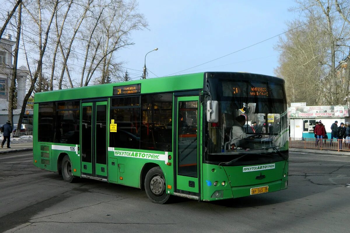 Автобус 106 октябрьская б. МАЗ 206.060. МАЗ-206.946. МАЗ 106. МАЗ 206 Липецк.