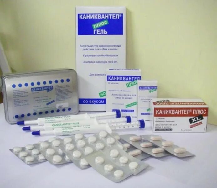 Таблетки для отравление собаки. Таблетки для отравление собаки. Таблетки для отравление собаки. Таблетки тубазид для собак. Таблетки для отравление собаки.