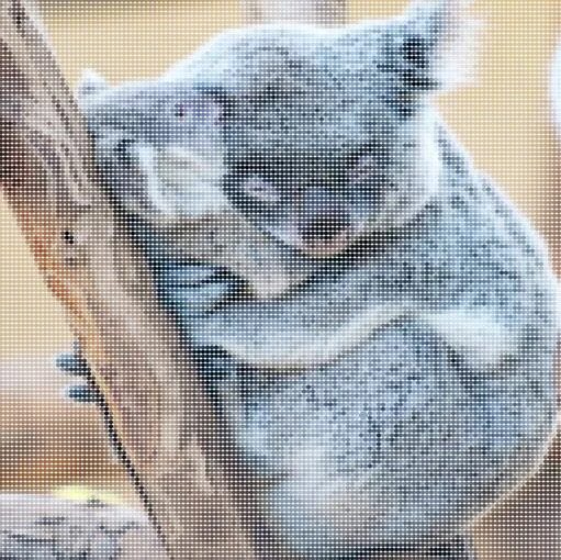 Com. Koalas to the max. Koalas to the max. Koalas to the max. Коала.