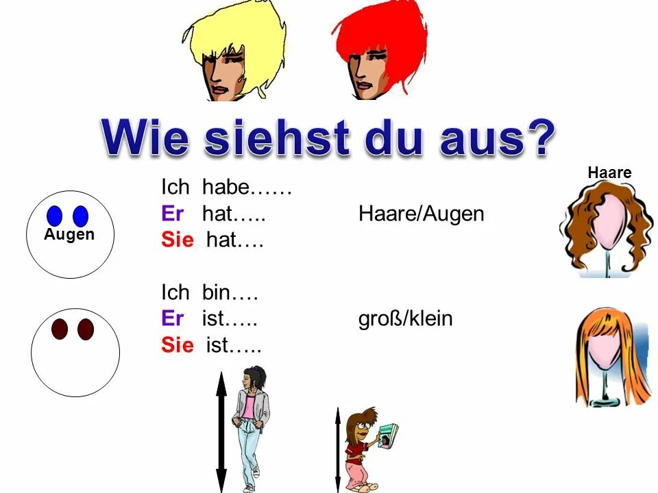 Wie hat er. Die harreна немецком с переводом. Die Haare немецком с переводом. Aussehen лексика. Wie участники.